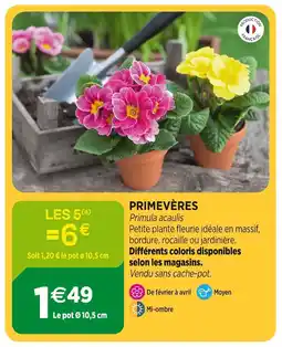 Jardineries du terroir Primevères offre