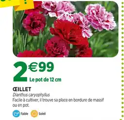 Jardineries du terroir Œillet offre