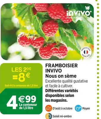 Jardineries du terroir INVIVO Nous on sème Framboisier offre