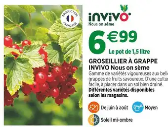 Jardineries du terroir INVIVO Nous on sème Groseillier à grappe offre