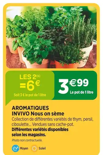 Jardineries du terroir INVIVO Nous on sème Aromatiques offre