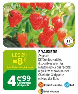 Jardineries du terroir Fraisiers offre