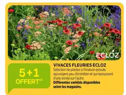 Jardineries du terroir Ecloz Vivaces Fleuries offre