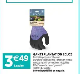 Delbard ECLOZ Gants plantation offre