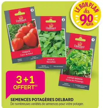 Delbard DELBARD Semences potagères offre