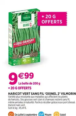 Delbard VILMORIN Haricot Vert Sans Fil 'Oxinel 2' offre