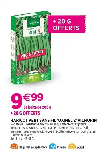 Delbard VILMORIN Haricot Vert Sans Fil 'Oxinel 2' offre