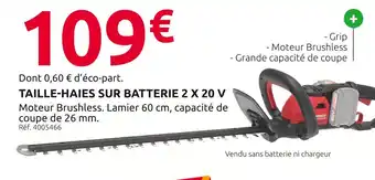 Mr Bricolage Inventiv Taille-haies sur batterie 2 x 20 V offre