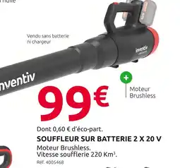 Mr Bricolage inventiv Souffleur sur batterie 2 x 20 v offre