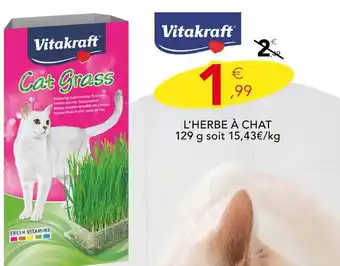 Stokomani Vitakraft L’herbe à chat offre