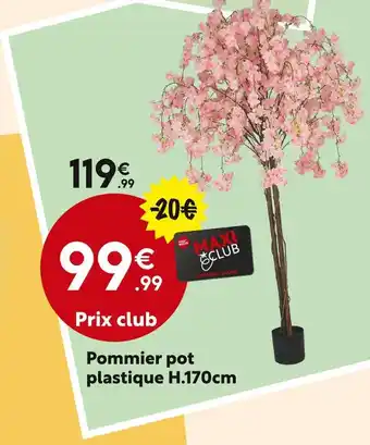 Maxi Bazar Pommier pot plastique offre