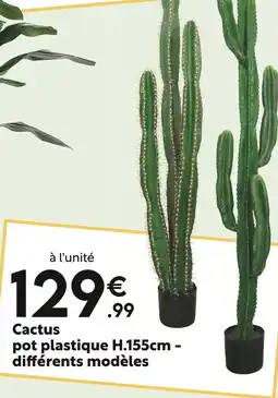 Maxi Bazar Cactus offre