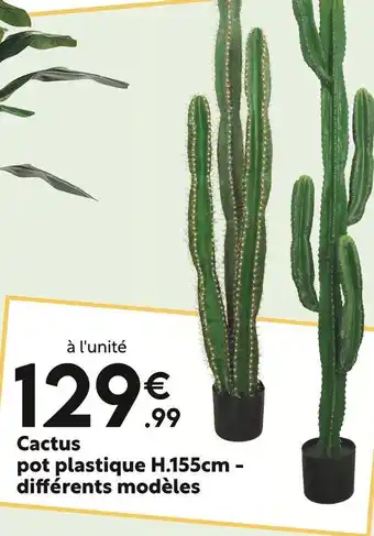 Maxi Bazar Cactus offre