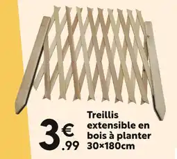 Maxi Bazar Treillis extensible en bois à planter offre