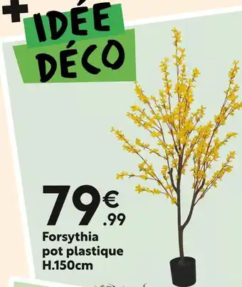 Maxi Bazar Forsythia offre