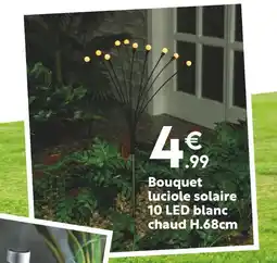 Maxi Bazar Bouquet luciole solaire 10 led blanc chaud h.68cm offre