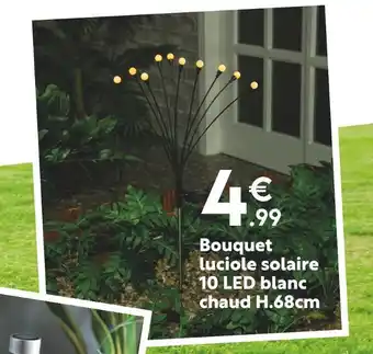 Maxi Bazar Bouquet luciole solaire 10 led blanc chaud h.68cm offre