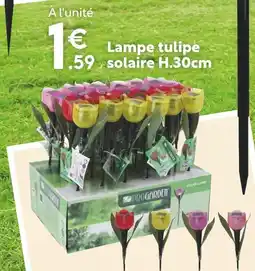 Maxi Bazar PROGARDEN Lampe tulipe solaire offre