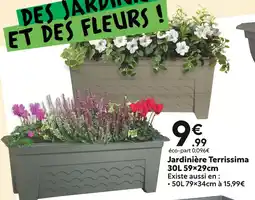 Maxi Bazar Jardinière Terrissima 30L 59x29cm offre