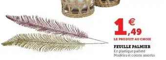 Hyper U Feuille Palmier offre