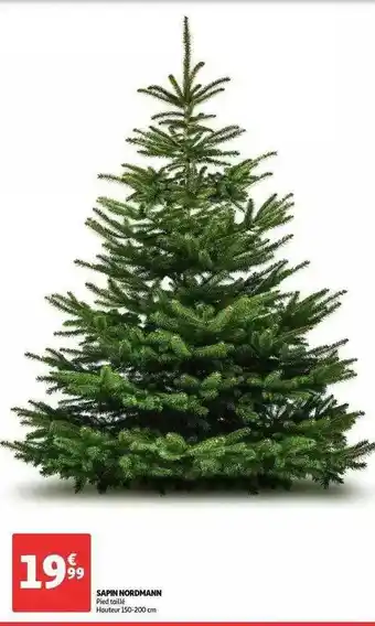 Auchan Sapin Nordmann offre