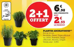 Bi1 Plantes aromatiques offre