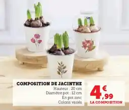 Hyper U Composition de jacinthe offre