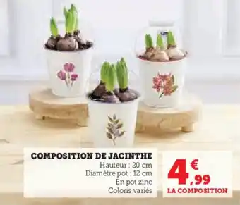 Hyper U Composition de jacinthe offre