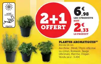 Hyper U Plantes aromatiques offre