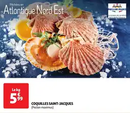 Auchan Coquilles saint-jacques offre