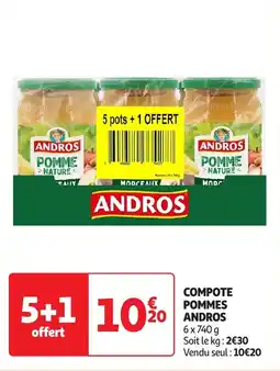 Auchan Compote pommes andros offre