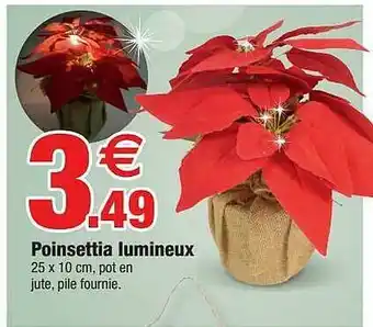 Bazarland Poinsettia Lumineux offre