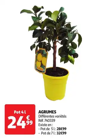 Auchan Agrumes offre