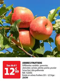 Auchan Arbres fruitiers offre