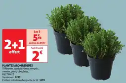 Auchan Plantes aromatiques offre