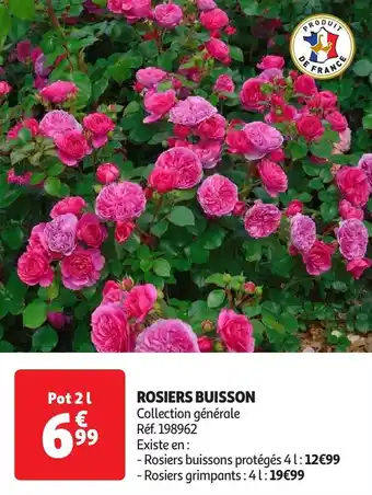 Auchan Rosiers buisson offre