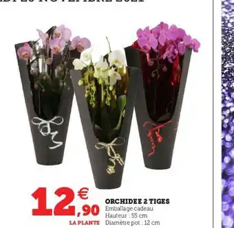 Hyper U Orchidée 2 Tiges offre