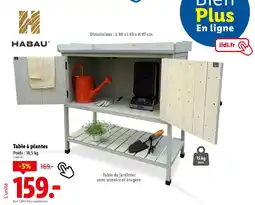 Lidl Table à plantes offre