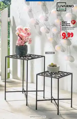 Lidl LIVARNO home Étagère ou supports pour plantes offre