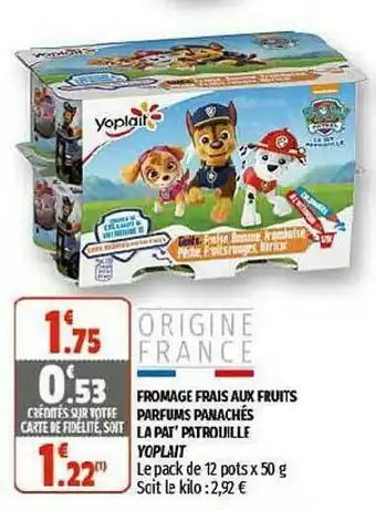Coccinelle Supermarché Fromage Frais Aux Fruits Parfums Panachés La Pat' Patrouille Yoplait offre