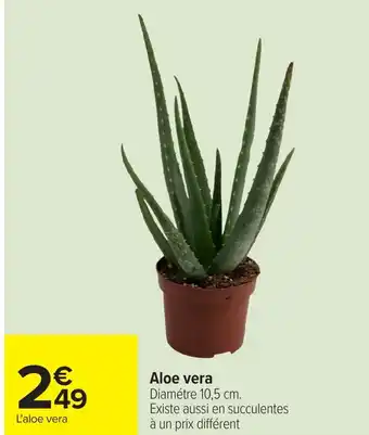 Carrefour Aloe vera offre