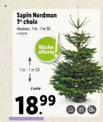 Lidl Sapin Nordman 1er Choix offre