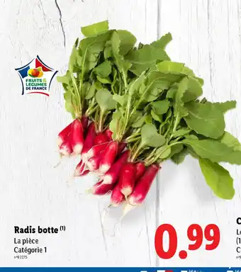 Lidl Radis botte offre