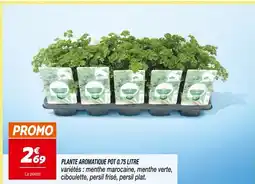 Netto Plante aromatique pot 0.75 litre offre