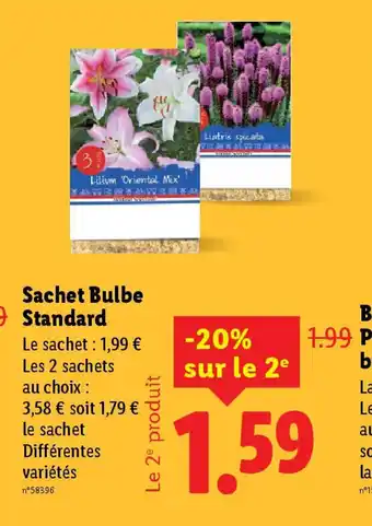 Lidl Sachet Bulbe Standard offre