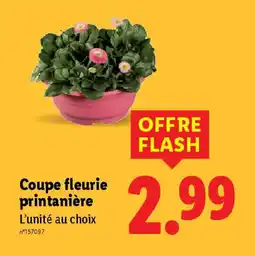 Lidl Coupe fleurie printanière offre