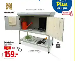 Lidl Table à plantes offre