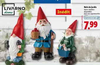 Lidl LIVARNO HOME Nain de jardin offre