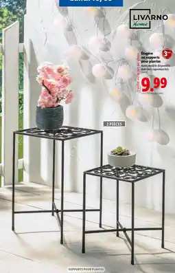 Lidl LIVARNO HOME Étagère ou supports pour plantes offre