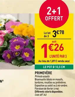 RAGT Jardin & Maison Primevère offre